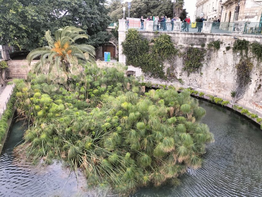 From Taormina: Siracusa & Noto Small-Group Tour - Key points at a glance