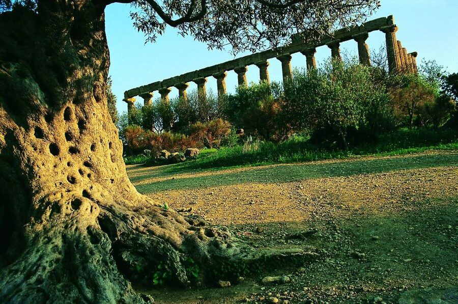 From Taormina: Valley of The Temples & Piazza Armerina Tour - Lunch, extra costs, and the real value of $82