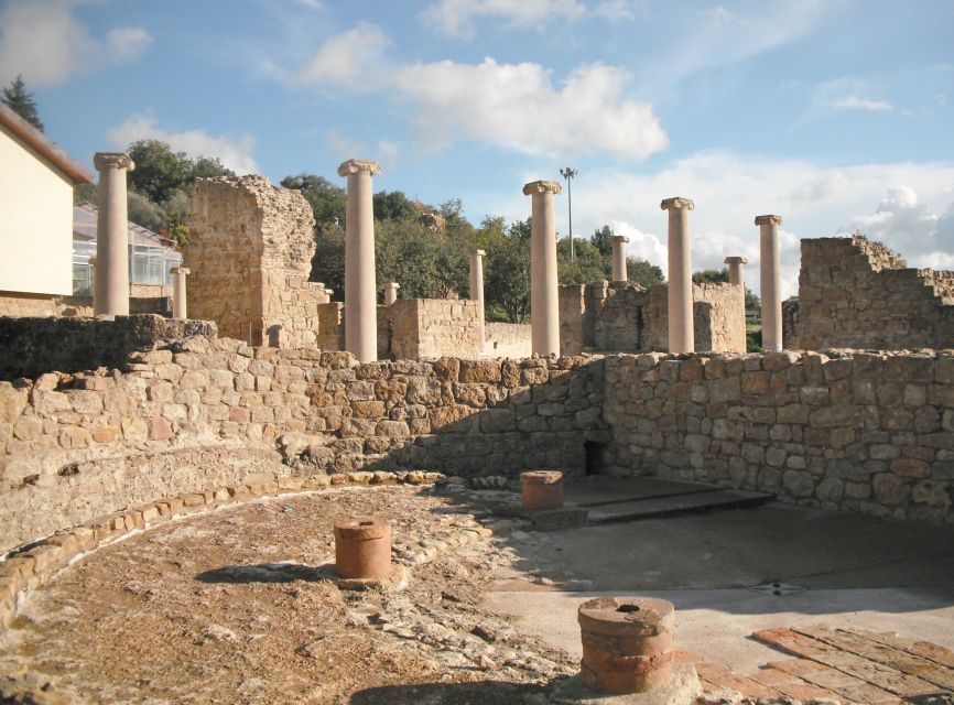 From Taormina: Valley of The Temples & Piazza Armerina Tour - Who should book this excursion?