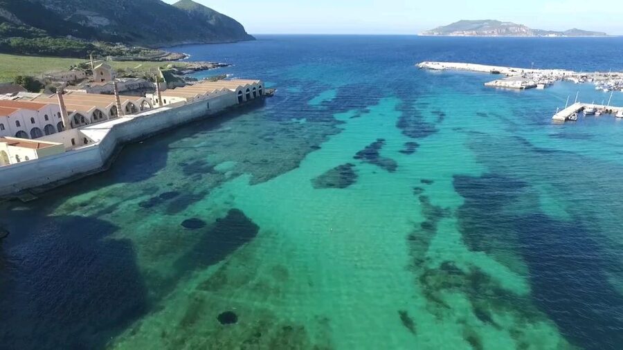 From Trapani: Day Cruise to Favignana & Levanzo with Lunch - What this Trapani boat day actually feels like