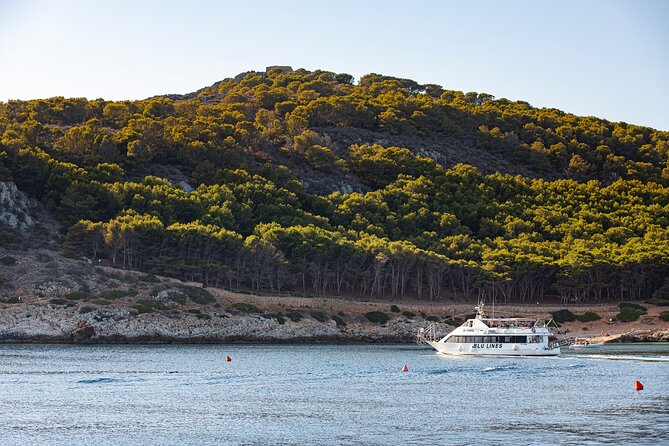 From Trapani: Egadi Islands tour with lunch on board - Should you book the Favignana and Levanzo tour?