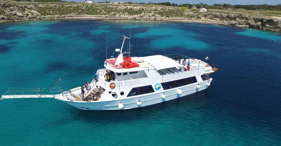 From Trapani: Favignana and Levanzo Boat Tour - What you can see in Favignana