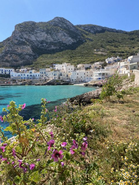 From Trapani: Favignana and Levanzo Mini Cruise with Lunch - Who will enjoy this most