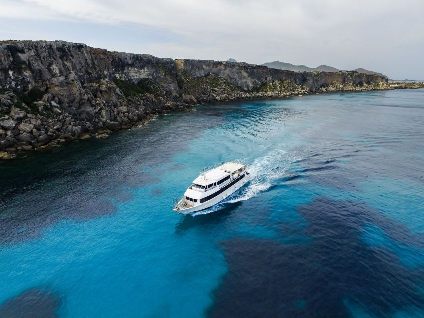 From Trapani: Favignana and Levanzo Motorboat Cruise - Why this Egadi Islands day is worth your time