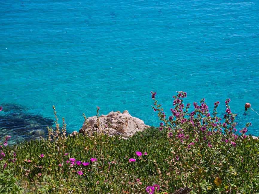 From Trapani: Favignana and Levanzo Shuttle Tour - Meeting Torre Lines at Trapani’s Marinella quay