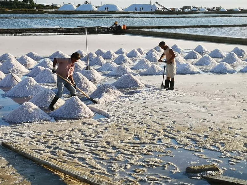 From Trapani: Salt Road Tour With Winery Visit and Boat Trip - Should you book the Salt Road tour?