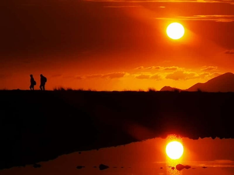 From Trapani: Salt Road Tour With Winery Visit and Boat Trip - Who will enjoy this tour most?