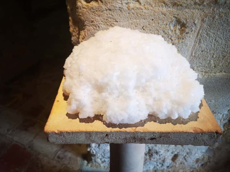 From Trapani: Salt Road Tour With Winery Visit and Boat Trip - Practical tips before you book
