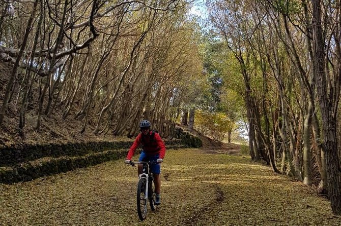 Full circuit of Etna by MTB small group - Starting at Piazzale Funivia Etna Sud in Nicolosi