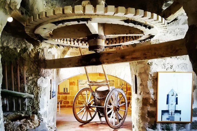 Full Day Exclusive Excursion to Segesta, Erice & Trapani Salt Flats from Palermo - What the driver-guide adds