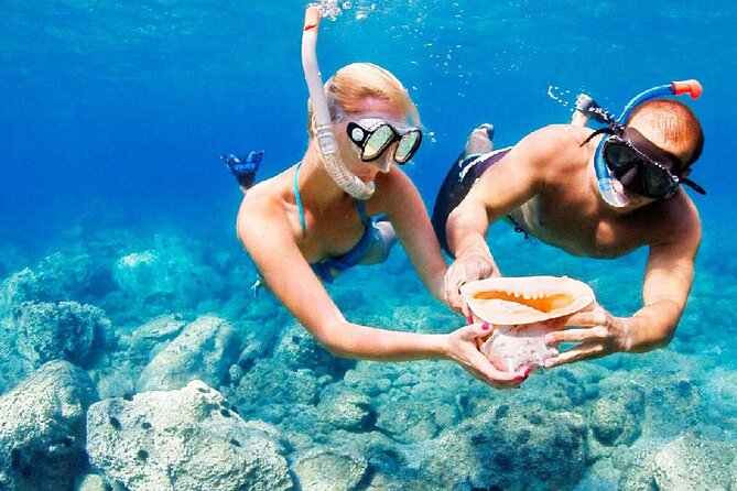 Full Day on board with lunch in luxury private tour - Practical details before you reserve