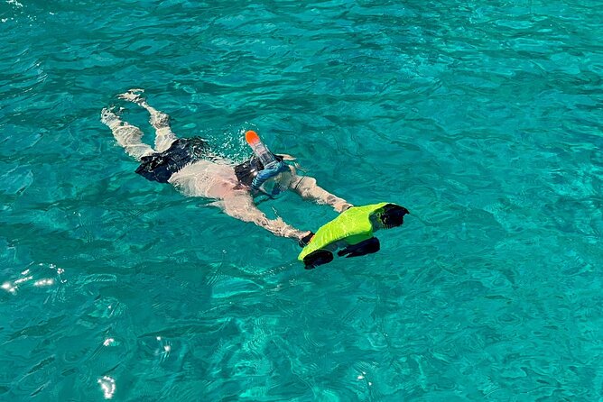 Full Day Palermo Boat Tour with Palermo Experiences - Capo Gallo: a natural reserve for snorkeling