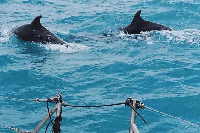 Full Day Sailing Tour Catania-Acitrezza - Lunch with fish, fruit, and Sicilian white wine