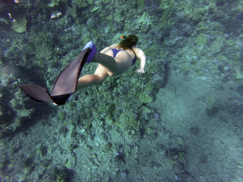 Giardini Naxos: Isola Bella Marine Park Snorkeling Cruise - Who will enjoy this outing most?