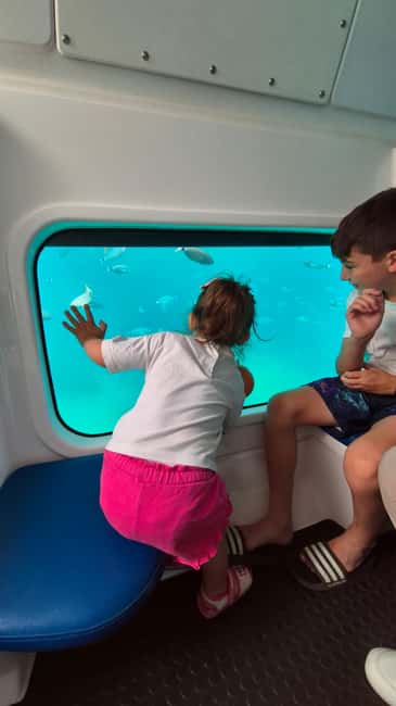 Giardini Naxos: Semi-Submarine Tour to Isola Bella - What this Giardini Naxos semi-submarine tour is really like