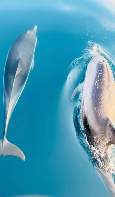 Giardini Naxos: Sunset Dolphin Watching Cruise with Aperitif - Grotta dell’Amore and the first coastal views
