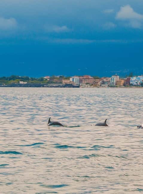 Giardini Naxos Taormina: Dolphin Watching Sunset Tour - Key points to know before boarding