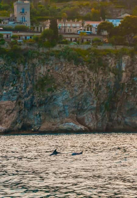Giardini Naxos Taormina: Dolphin Watching Sunset Tour - Should you book this sunset dolphin tour?