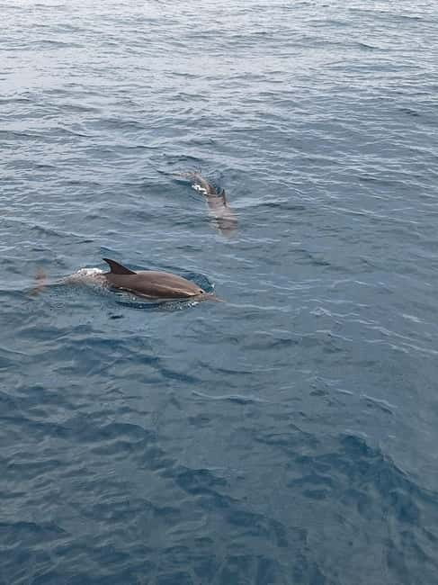Giardini Naxos Taormina: Dolphin Watching Sunset Tour - The Love Cave and Blue Cave