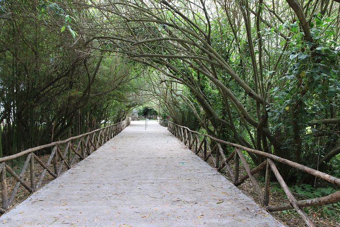 Group guided tour of the archaeological park of Neapolis - The Roman Amphitheater and the city’s later chapter