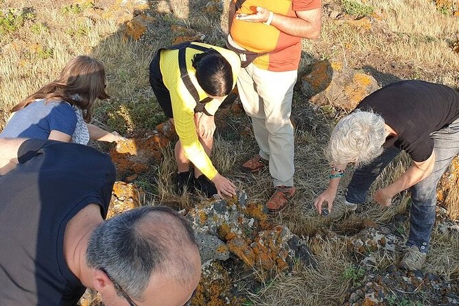 Guided Geological Excursion to Ustica - Meeting at 6 p.m. near Comune di Ustica