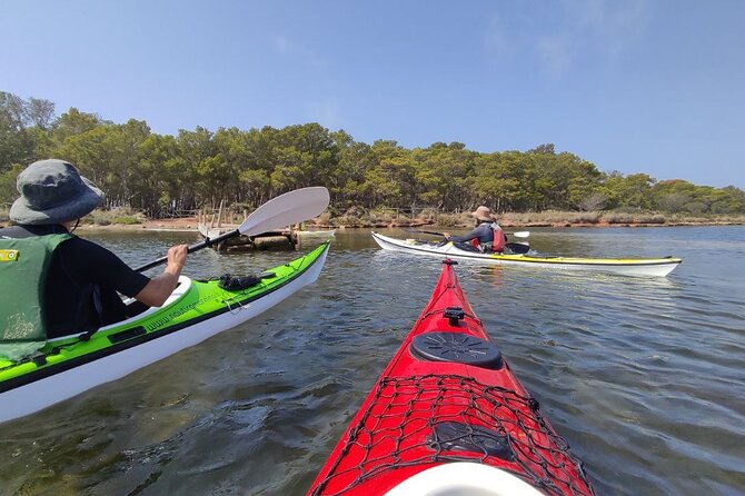 Guided kayak tour inside the Stagnone of Marsala - Why the Stagnone Reserve works so well by kayak