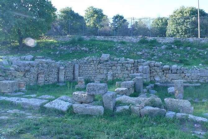 Guided Tour in Morgantina. Visit Morgantina. - Why Morgantina feels different from a single temple visit