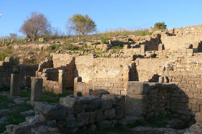 Guided Tour in Morgantina. Visit Morgantina. - Who will enjoy this most?