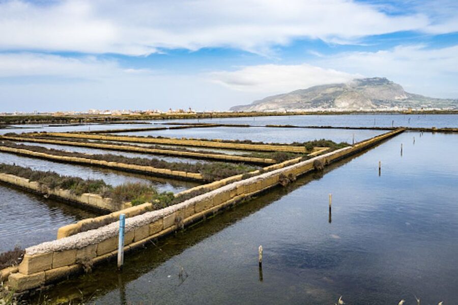Guided tour of the Marsala Salt Pans and salt harvesting - Why Marsala’s salt pans matter