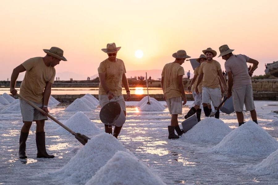Guided tour of the Trapani Salt Pans and Salt Museum - Why Trapani salt is worth a closer look