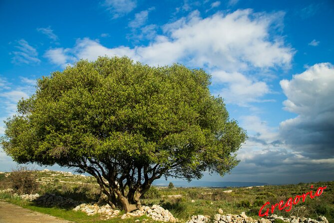 Guided Trekking to Cavagrande del Cassibile in Sicily - What the three-hour timing really means
