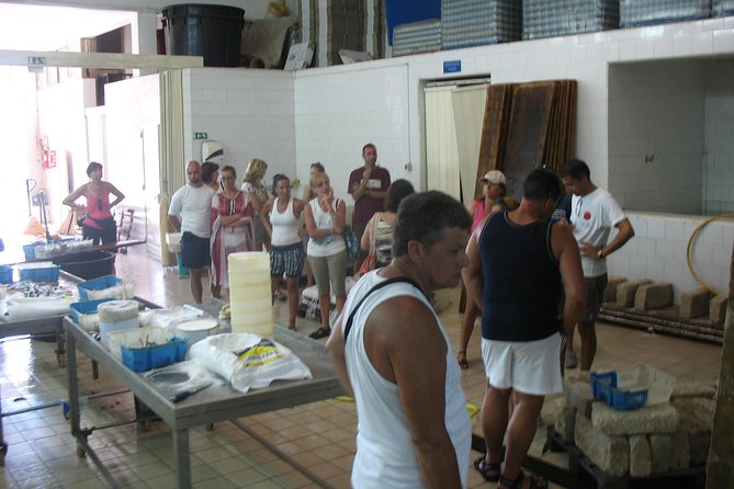 HALF DAY excursion - Marzamemi and Capo Passero by Boat - A morning built around Sicily’s southern coast