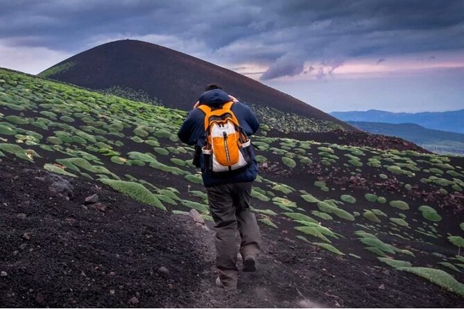 Half Day Guided Tour in Mount Etna (3000 meters) - The cable car climb toward 3000 meters