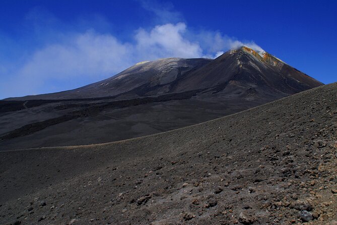 Half Day Guided Tour in Mount Etna (3000 meters) - What the $72.19 price really covers