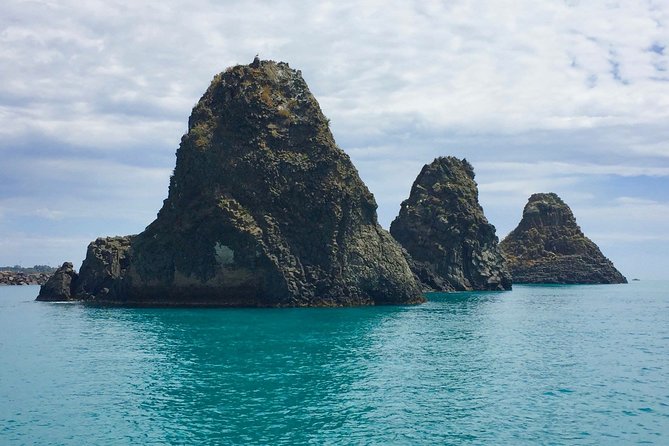 Half Day Sailing Tour Catania-AciTrezza - Acicastello and its medieval castle