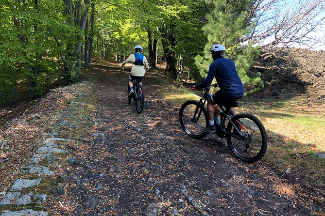 Half Day Tour to discover Etna by E-Mtb - Riding west on the Altomontana track