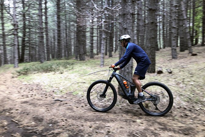 Half Day Tour to discover Etna by E-Mtb - Through the beech woods to Timpa Rossa