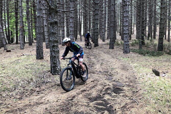 Half Day Tour to discover Etna by E-Mtb - What the $113.37 price buys you