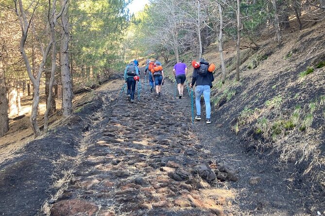 Half day Trekking Tour on Etna - Guides, group size, and the personal feel