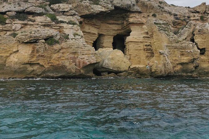 Half day with lunch in luxury private tour - A swim stop with masks on board