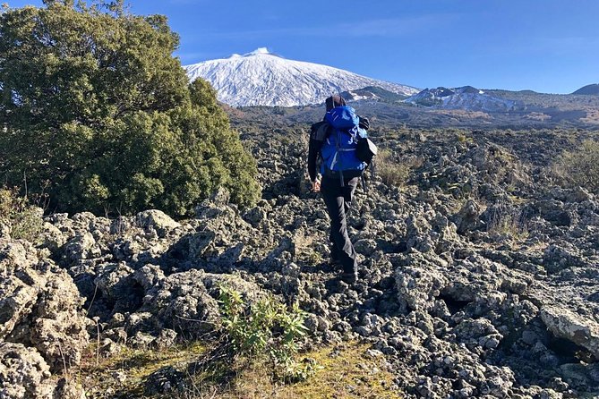 Half or full day trekking on Etna with private guide - Is the $83.27 price good value?