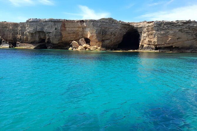 Half-seabed or rod fishing tour with bolentino - Captain Franco, language, and the feel on board