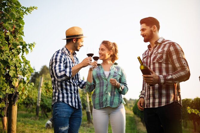 Historic winery visit with food and wine tasting in Marsala - Who Will Enjoy This Marsala Stop?