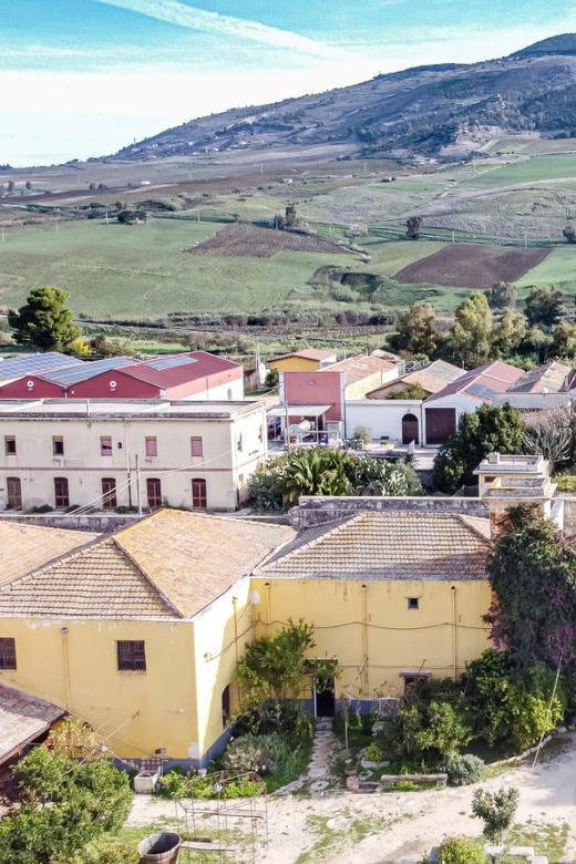 Historical Baglio Florio Adamo tour with wine tasting - Is $35 a good value?