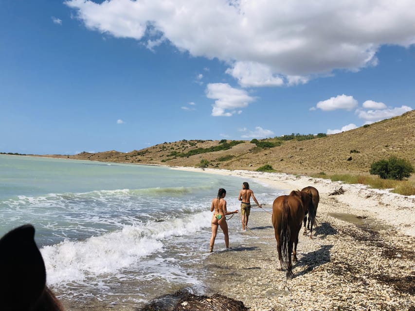 Horseback riding in the beaches of Sciacca - From Sciacca’s countryside to a wild beach
