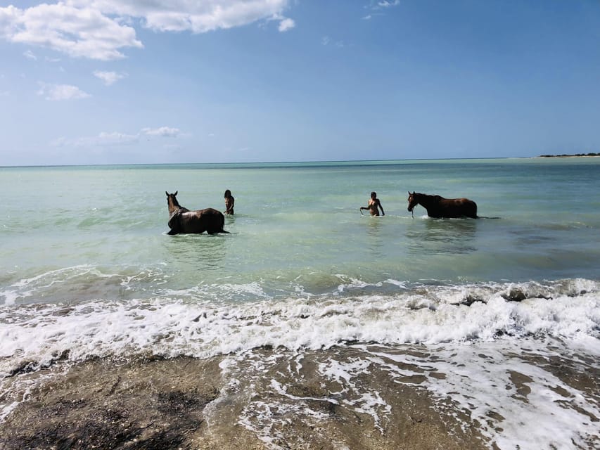 Horseback riding in the beaches of Sciacca - Nino’s role and the language question