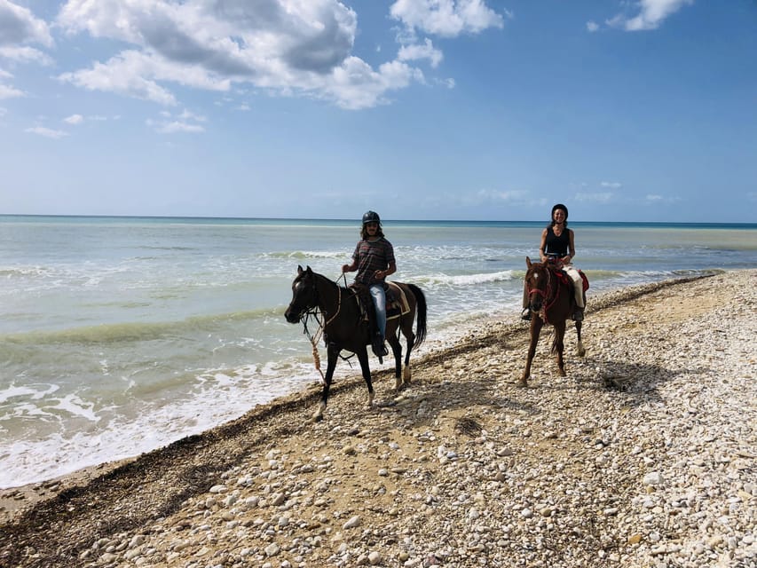 Horseback riding in the beaches of Sciacca - Is $198.25 per person good value?