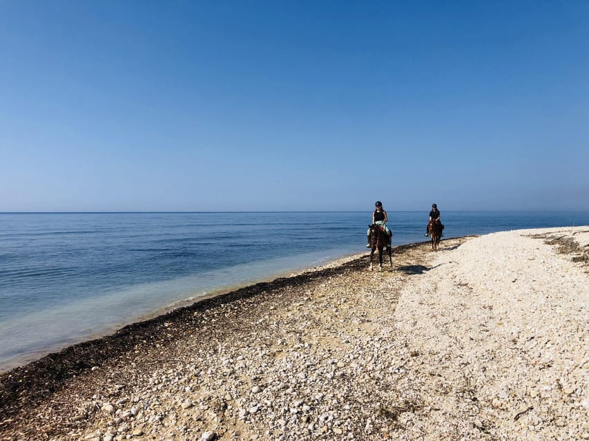 Horseback riding in the beaches of Sciacca - Who will enjoy this ride most?