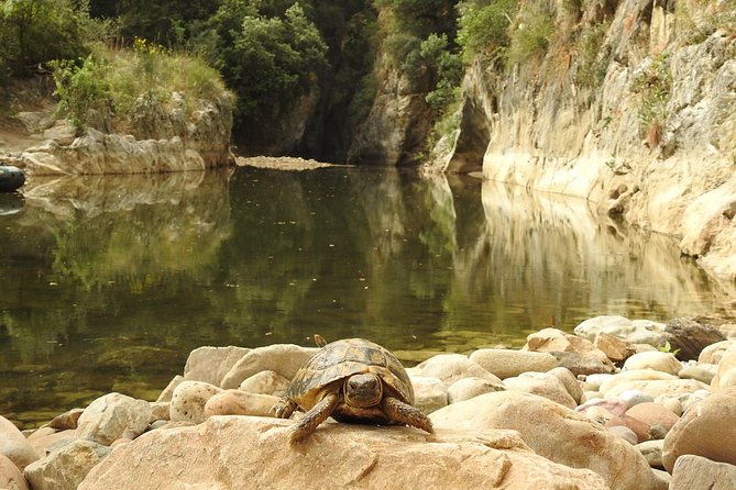 Inflatable boat excursion Gole di Tiberio on the Madonie near Cefalù - Geology, wildlife, and the value of quiet