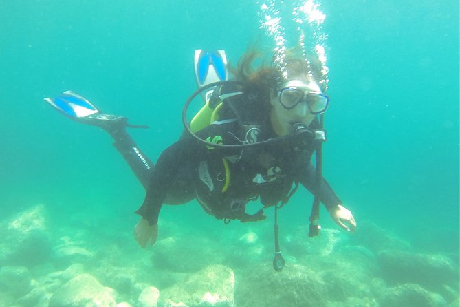 Introdive - Key points to know before booking